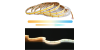 8mm COB LED Lenta CCT 3000k-6000k IP20 24 Volti 480Led/m